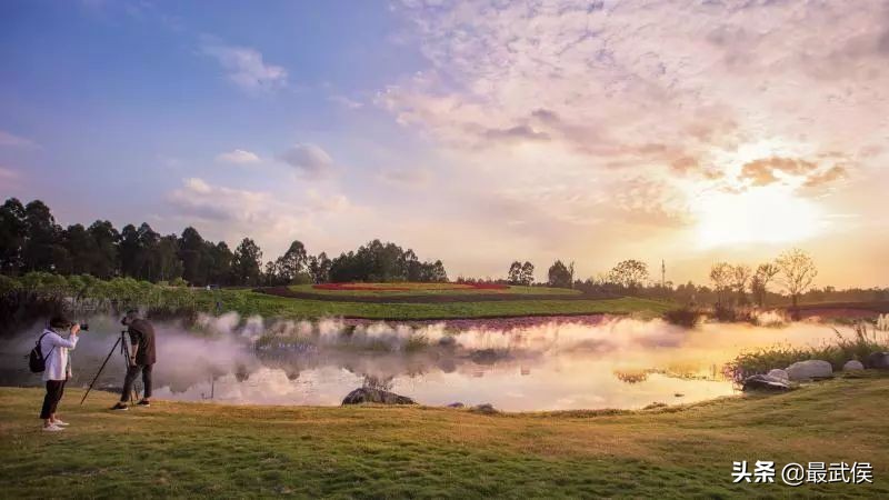 第八届贺岁杯怎么没有潘晓婷,cctv贺岁杯决赛