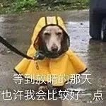 下雨可以穿漂亮的雨衣,下雨雨衣怎么穿不遮路