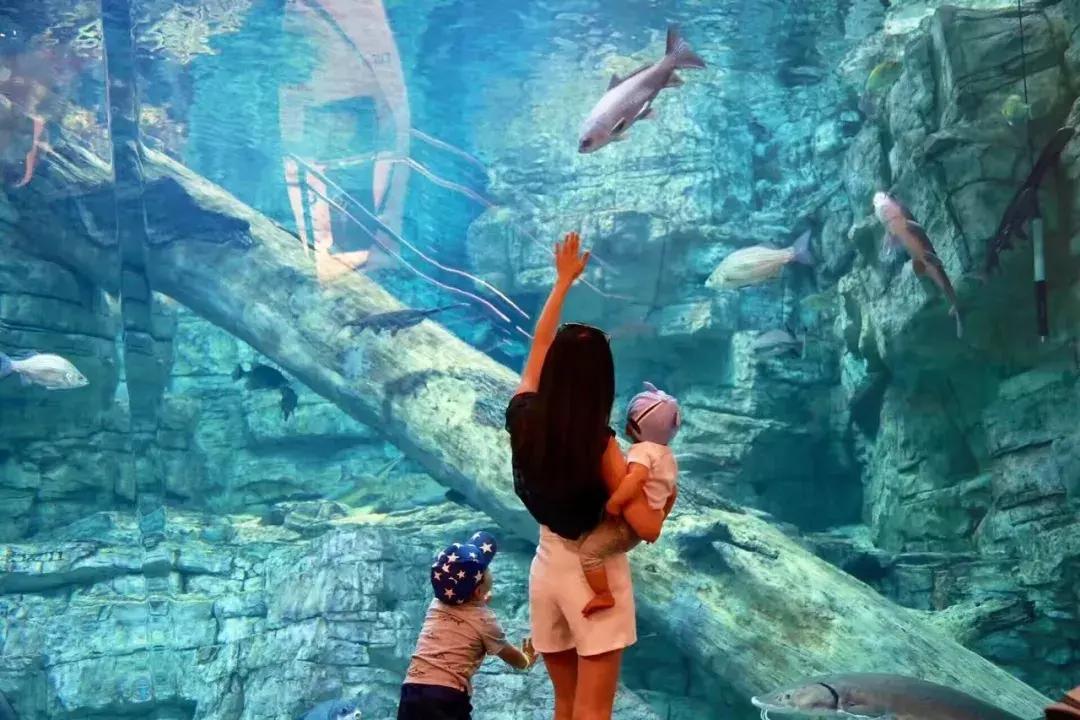 芝加哥及周边的好去处,芝加哥周边游玩