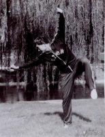 神拳秘传7-12炮教学,炮拳实战技法