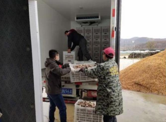 助农增收见实效亲情帮扶暖民心,助农扶农送真情