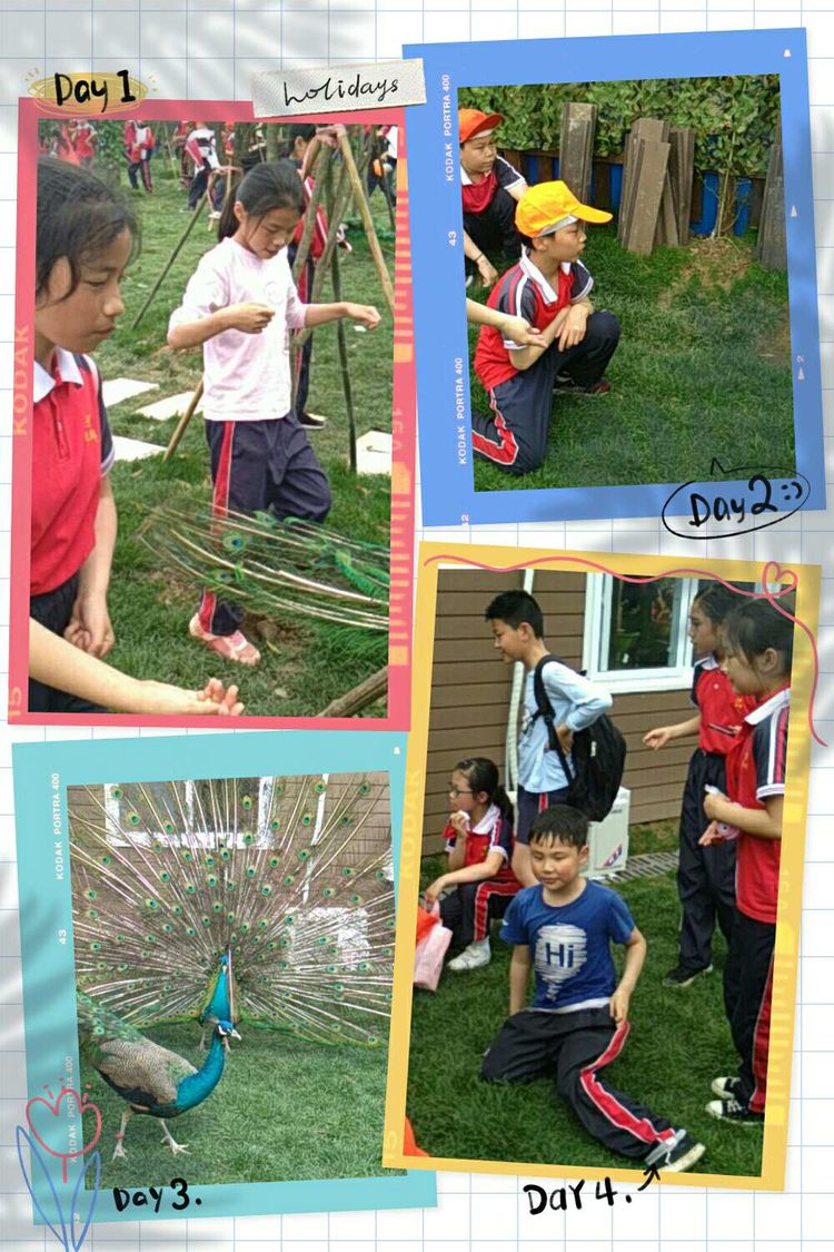 我的学校我的班作文怎么写,我的学校我的班小学