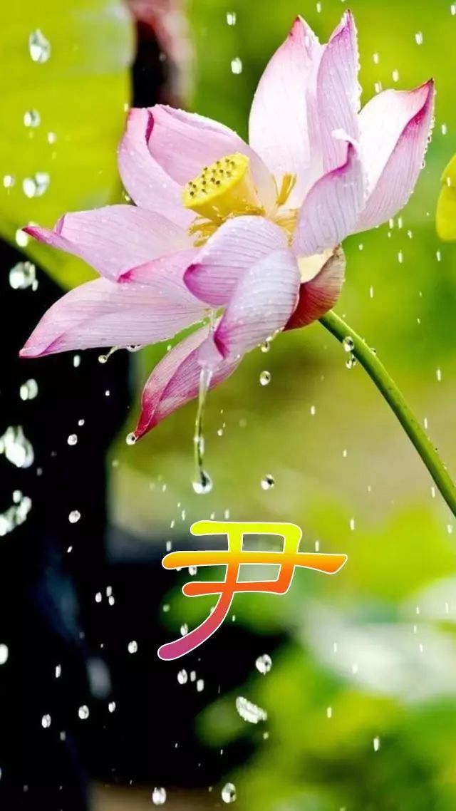 珠宝翡翠艺术字体,翡翠字体图片欣赏