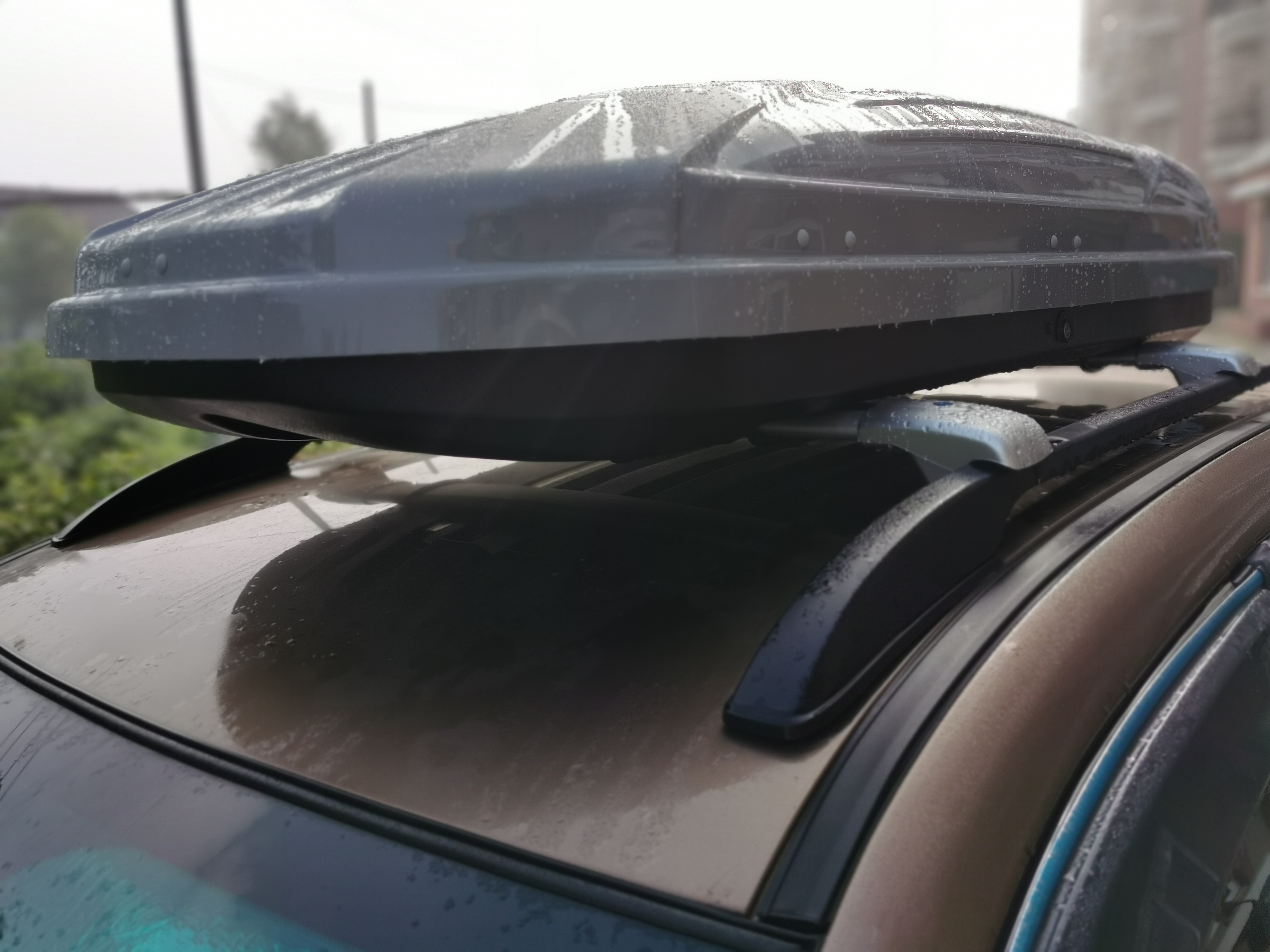 第一次带着狗狗去旅行,带狗狗去高原应该准备什么