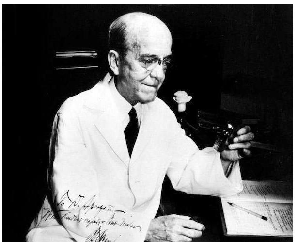 手机wifi都有哪些功能,wifi无线通信技术介绍