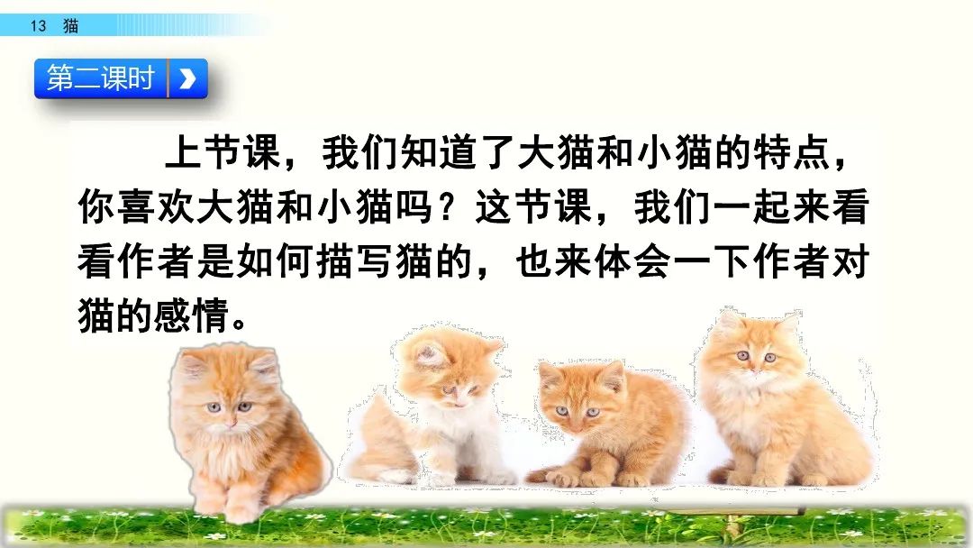 四年级下册语文13课猫课文解析,部编版四年级下册13猫教学视频