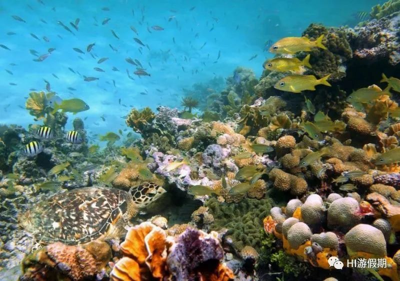 关岛：风情万种的人间净土