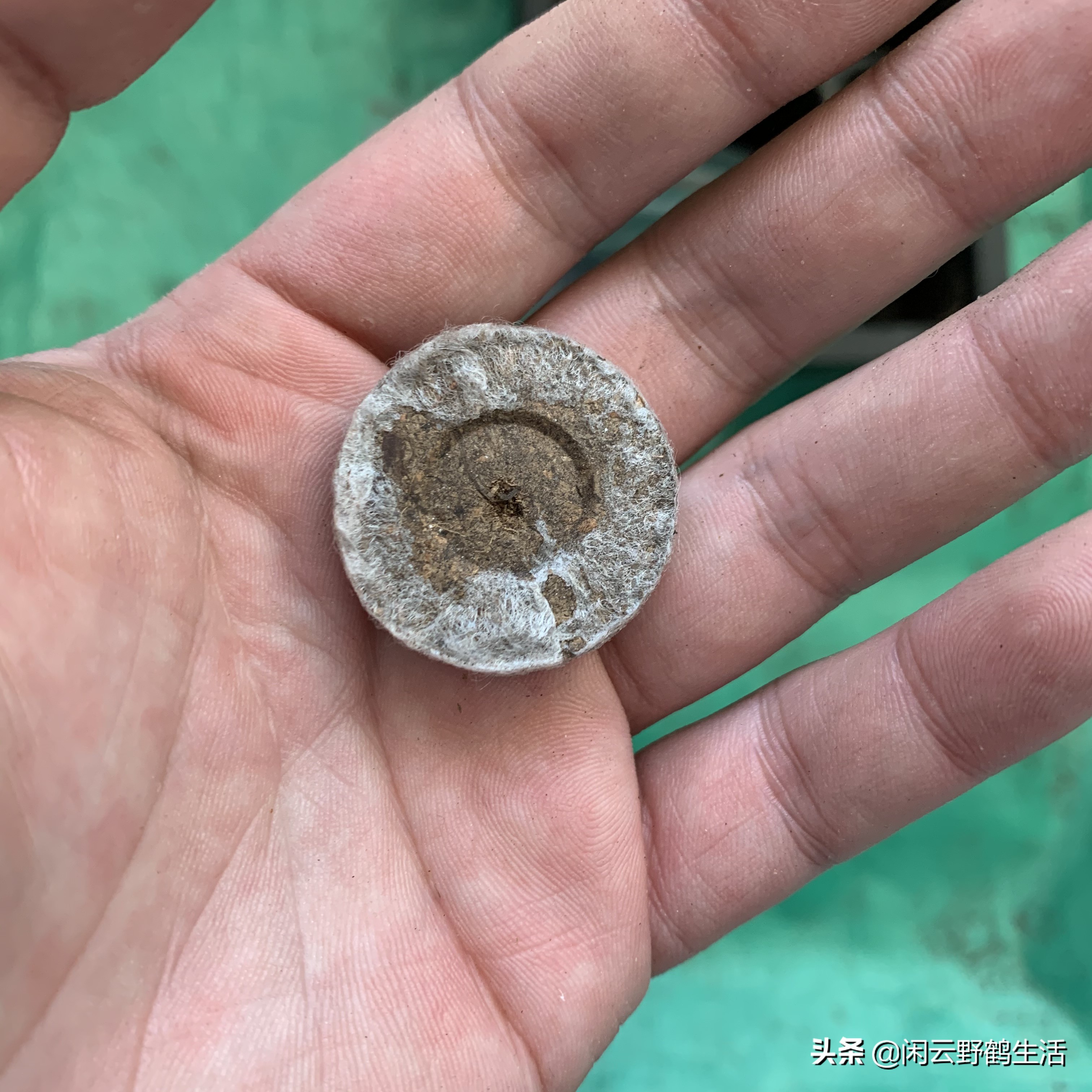 寓教于乐中成长与学习,寓教于乐中得到收获