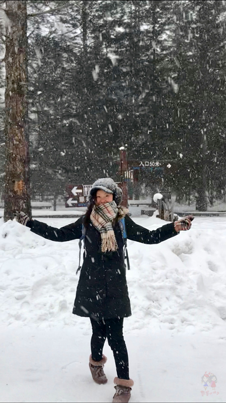 冬季旅游好去处排行榜不看雪,林海雪原旅游景区