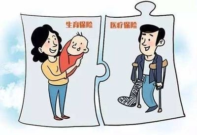 用人单位不交保险合法吗,用人单位断买生育保险合法吗