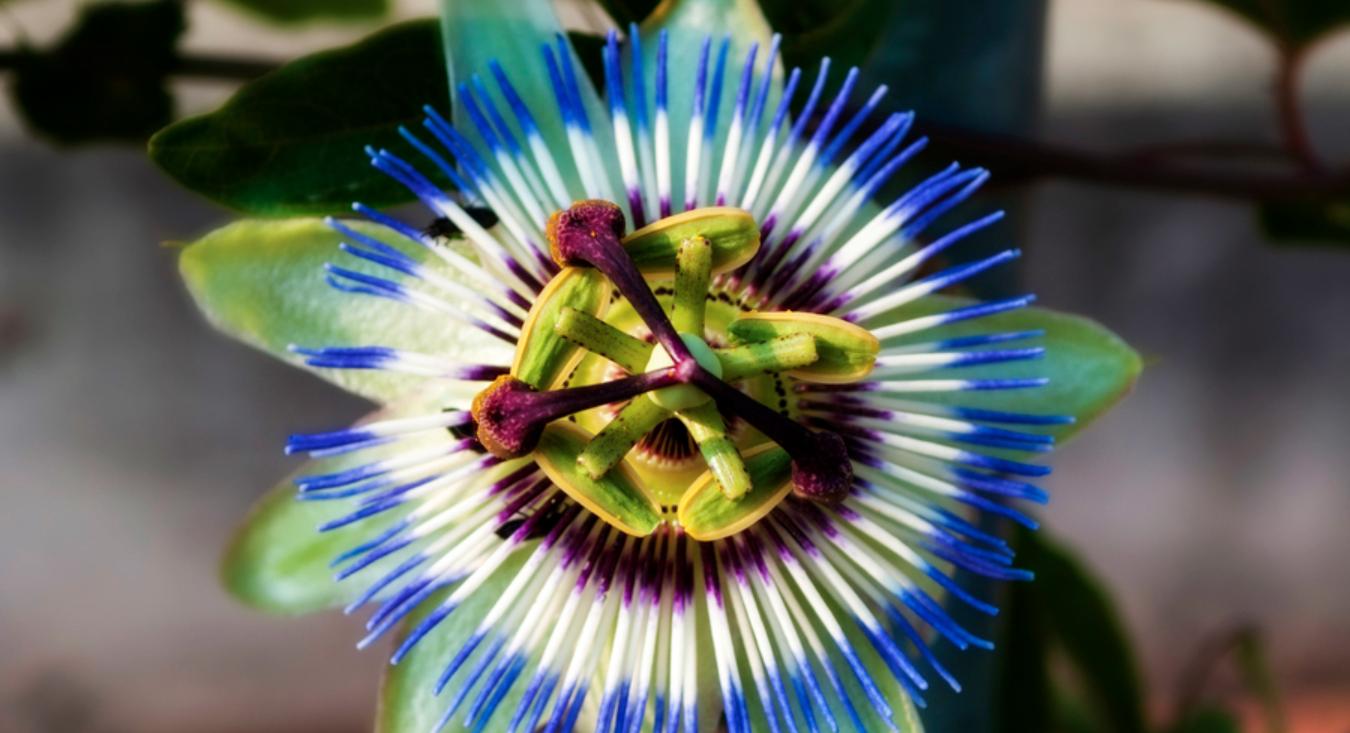 加班熬夜保健品,加班熬夜补品