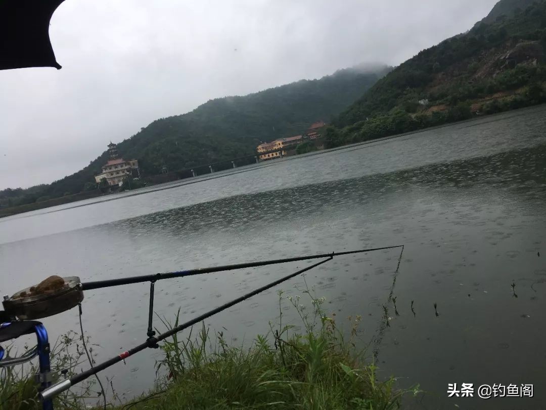 新手钓鱼入门基本装备推荐,新手钓鱼买钓具