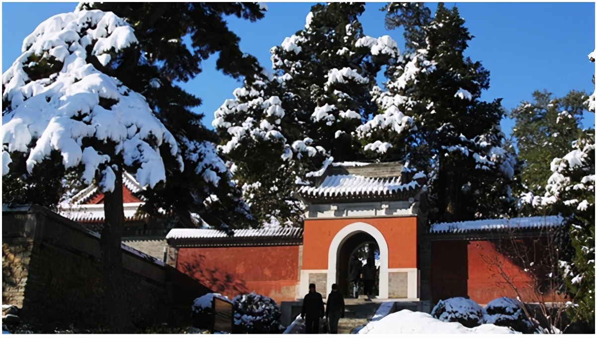 北京香山公园风景视频,北京香山公园