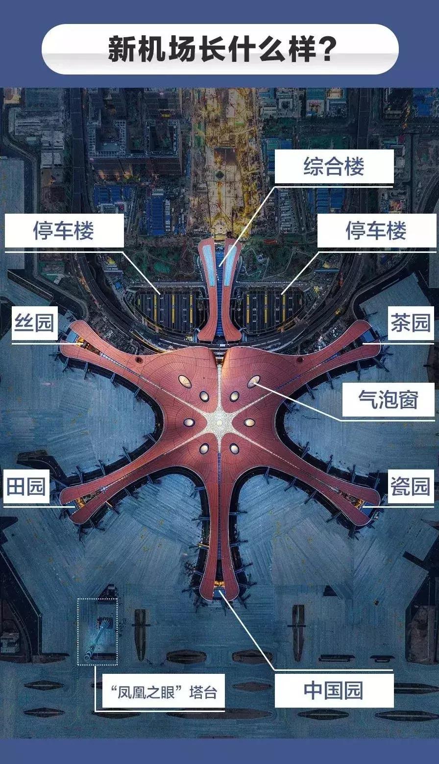 大兴机场临空区礼贤片区最新规划,北京大兴机场全貌平面设计图