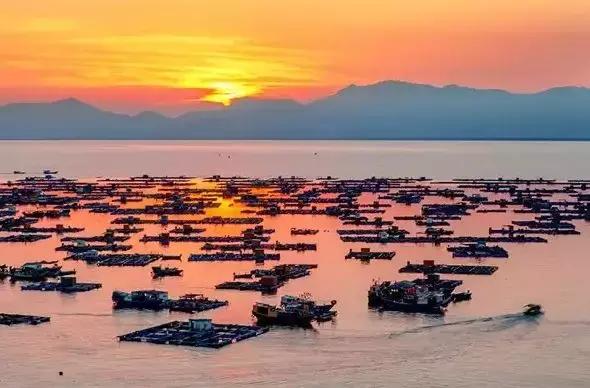 深海危机在哪上映,深海危机开拍仪式