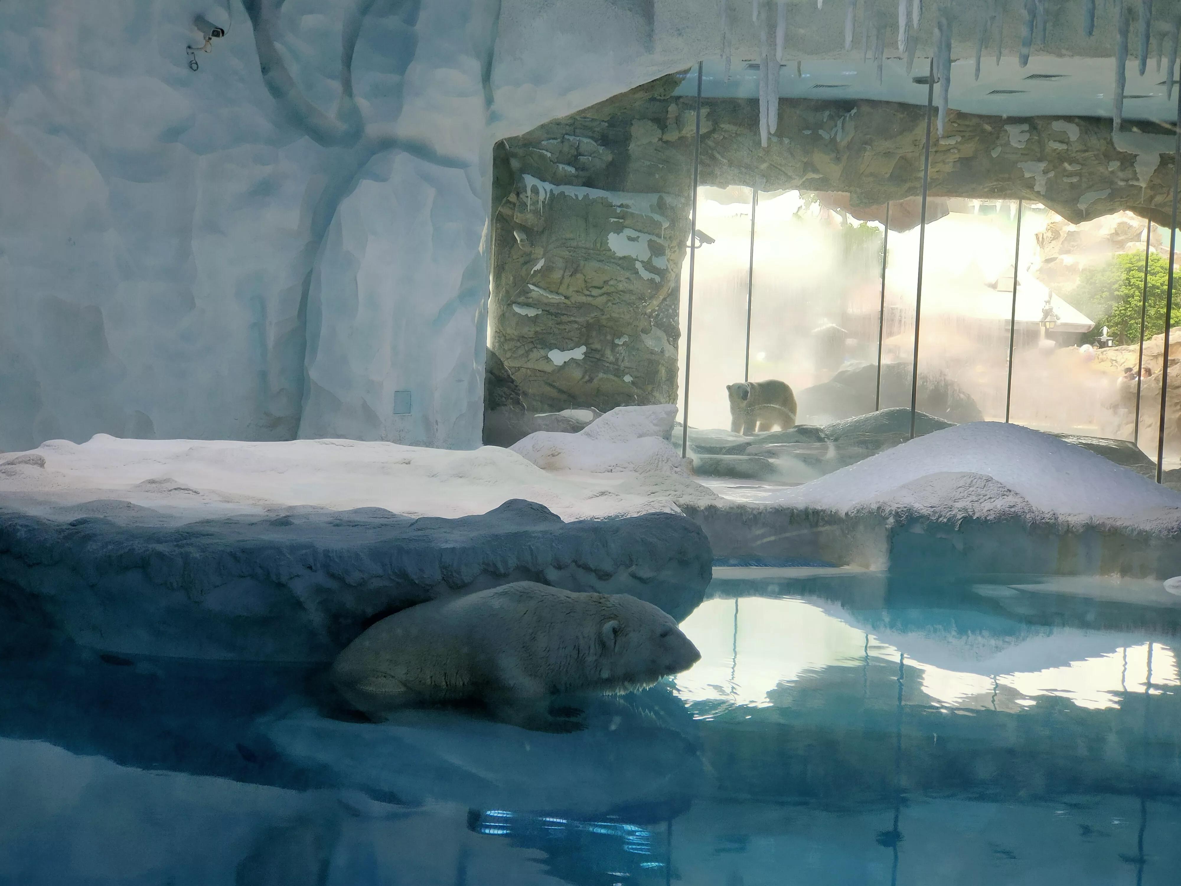 珠海长隆海洋王国二日游攻略,珠海长隆海洋王国一日游详细攻略