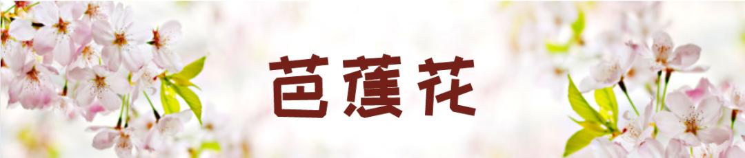 在云南，做一个“花吃”，挺好