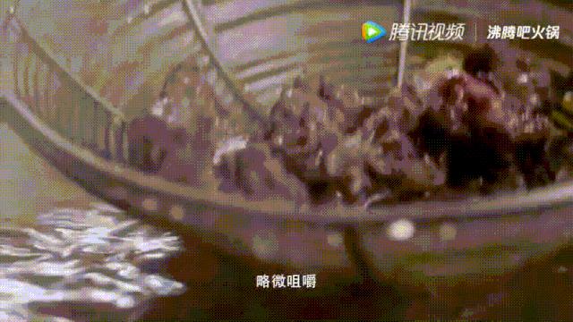 明星投毒吓人事件,深夜放毒招人恨的视频