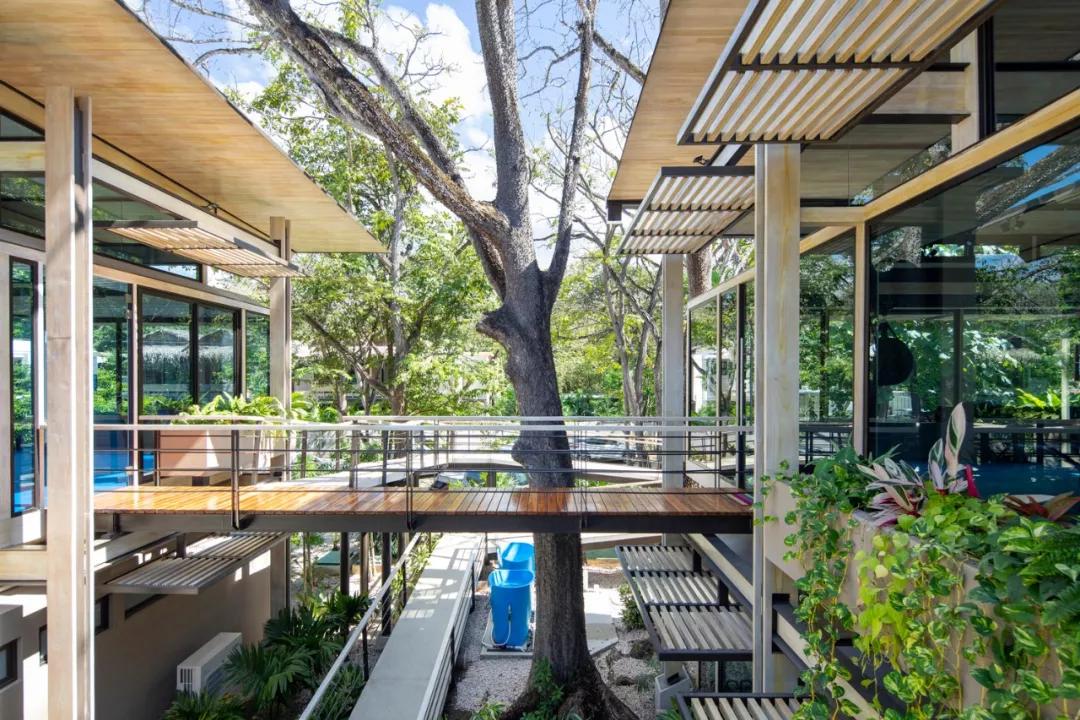 一个完全开放式的林中村落——哥斯达黎加体育中心