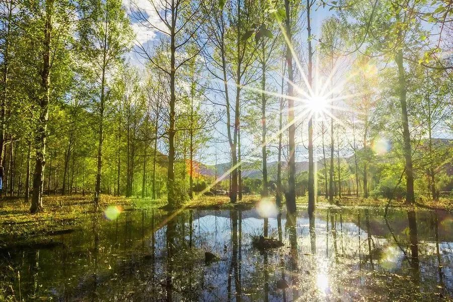 从康定开始一路都是绝美风景,从康定到新都桥景色视频