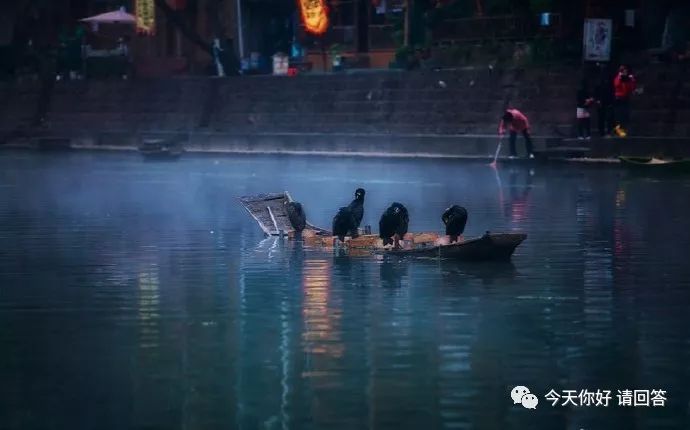 求职计划1500字,个人求职计划2000