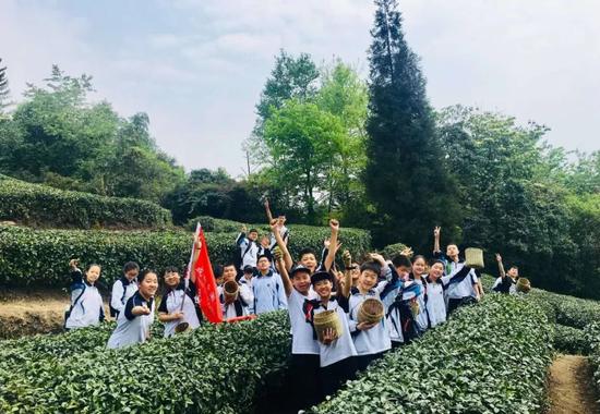 小升初一对一择校,小升初语数二合一