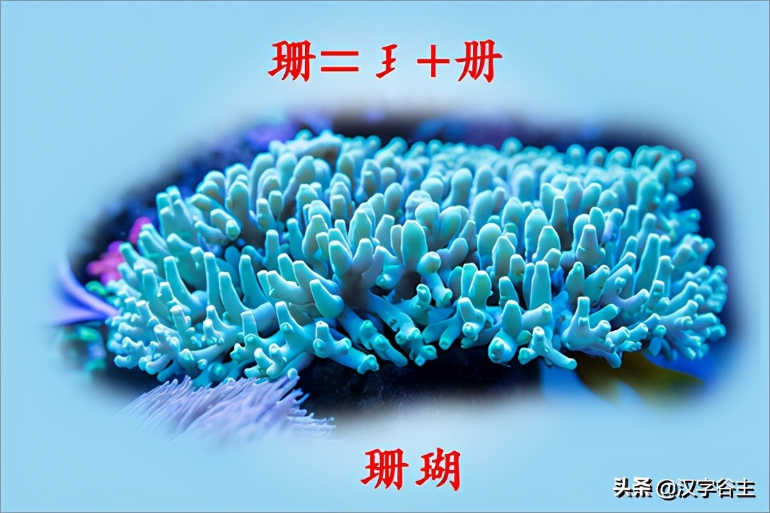 说文博物:从“册”的汉字思维,谈谈大语文应该怎样学?