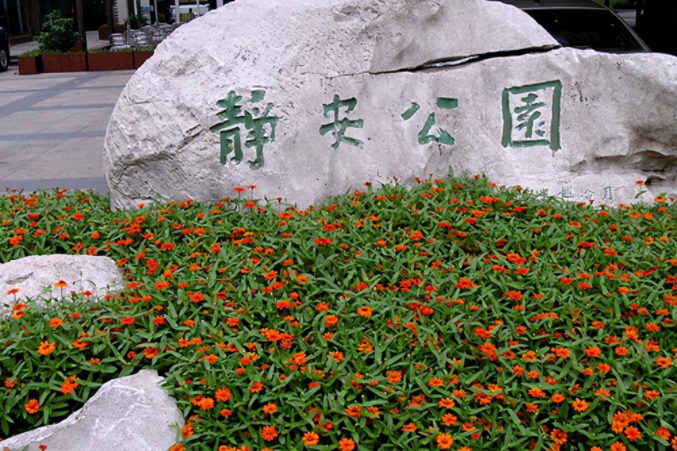 上海65岁以上老人免费公园,上海免费开放公园