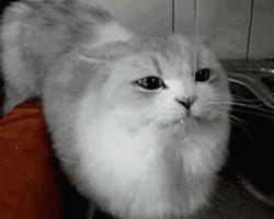 一个月女宝私下怎样护理,新生儿女宝私部护理