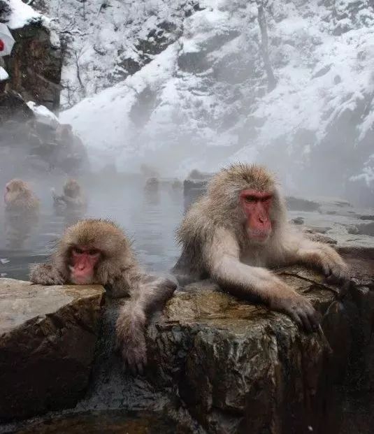 一丝不挂？探索欧洲男女混浴初体验