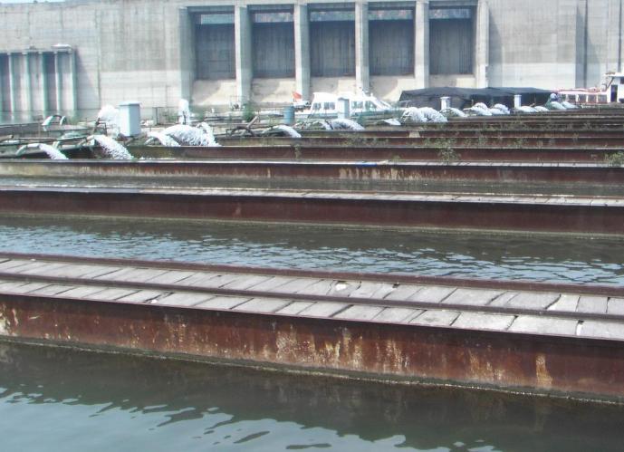 鱼塘养鱼的正确养殖方法有哪些,承包水库养鱼经济效益怎么样