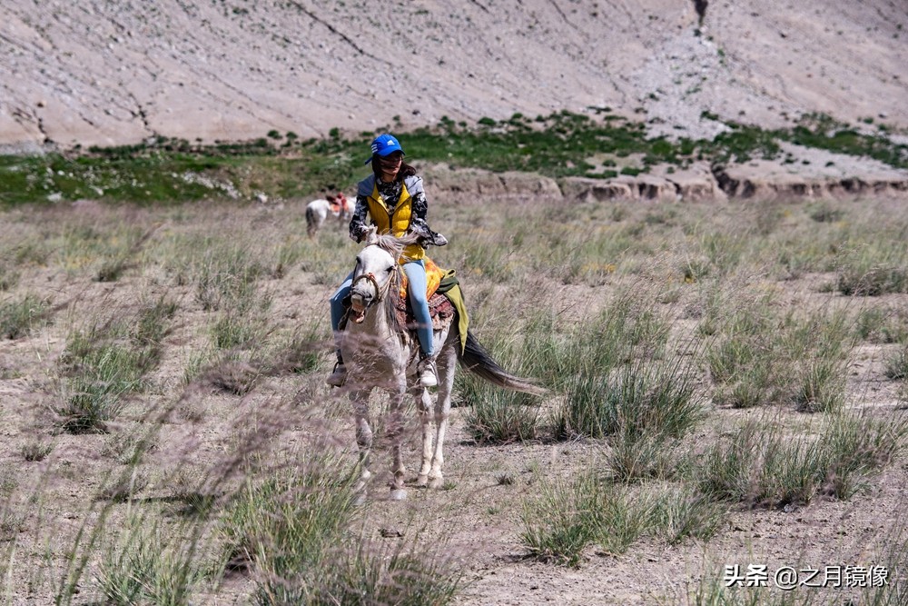 铁血雄鹰全剧,铁血雄鹰全文阅读