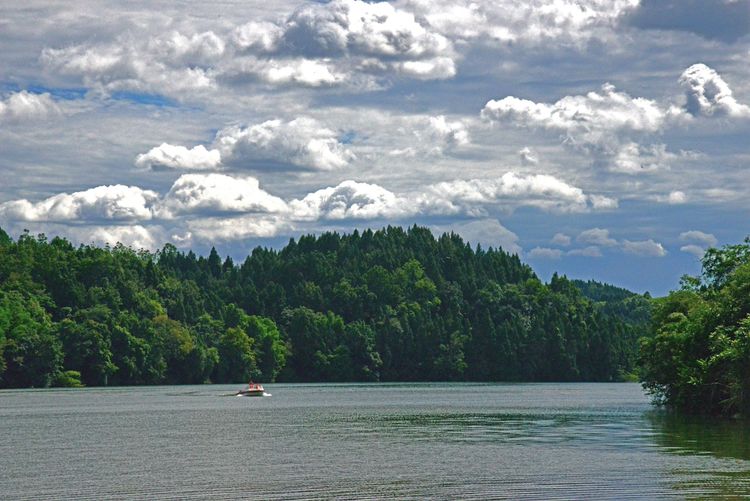 涔愯嚦鑽疯姳鎽勫奖浣滃搧娆ｈ祻,涔愯嚦鍗拌薄鎽勫奖