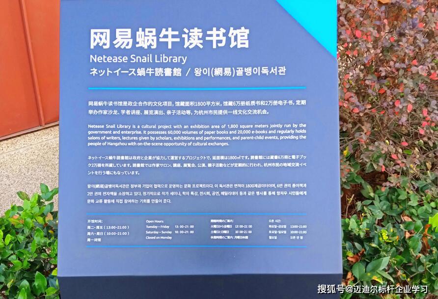 网易公司的战略分析和战略构造,网易公司管理系统案例分析