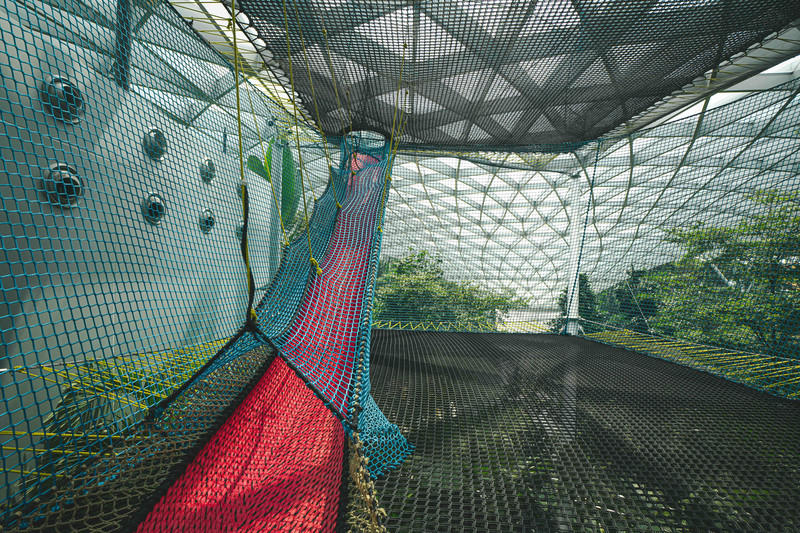 一人一猫环游,一人一猫旅行