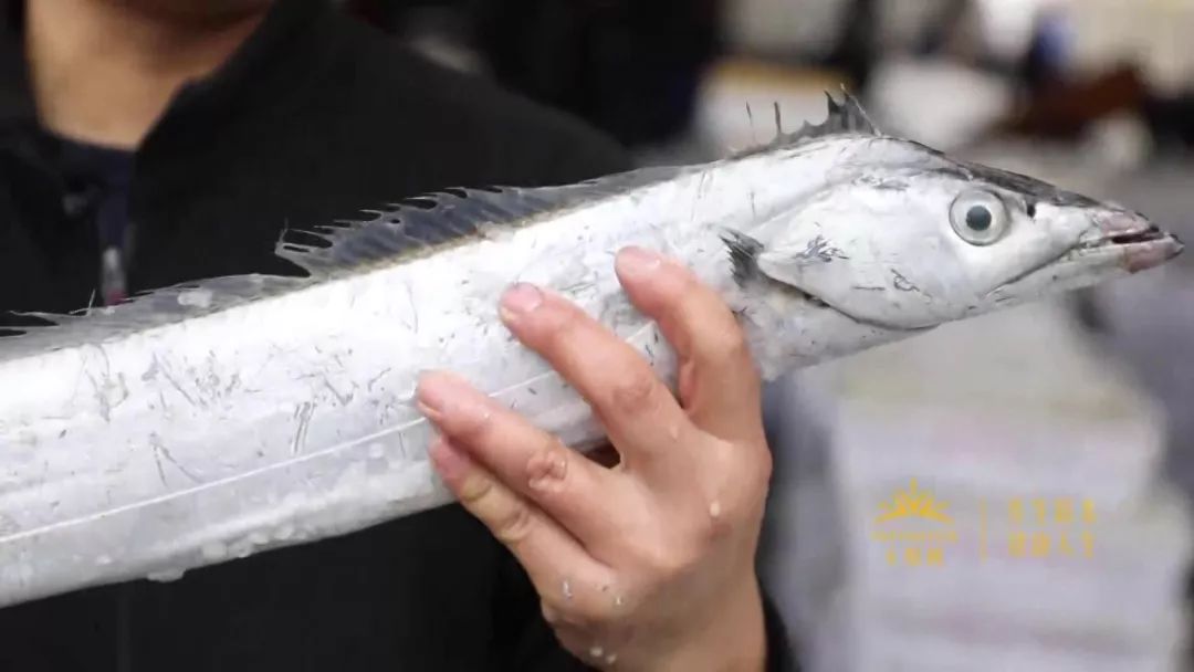 过年必囤的海鲜,过年买什么样的海鲜最有逼格