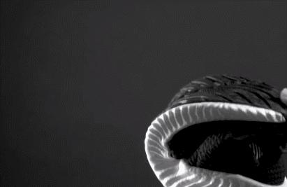 性价比最高的十款透气运动鞋,百元内超弹运动鞋