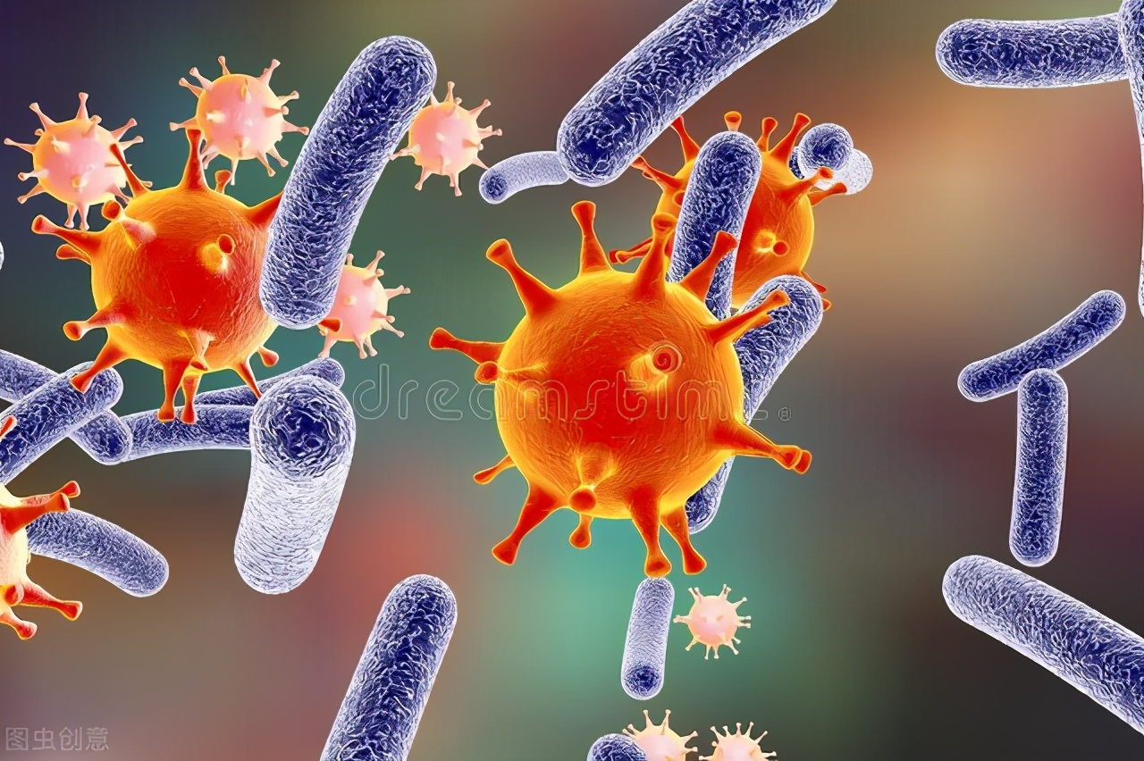 在沙漠中遇到死去的骆驼,在沙漠中碰到死后的骆驼