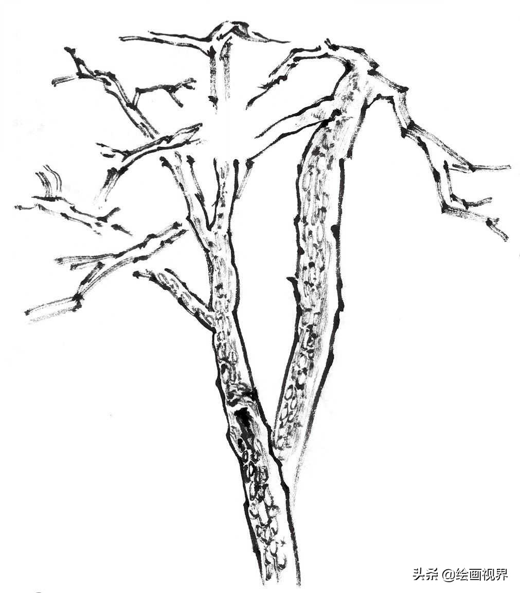 国画双钩树的画法入门,国画杂树与山石的画法图片