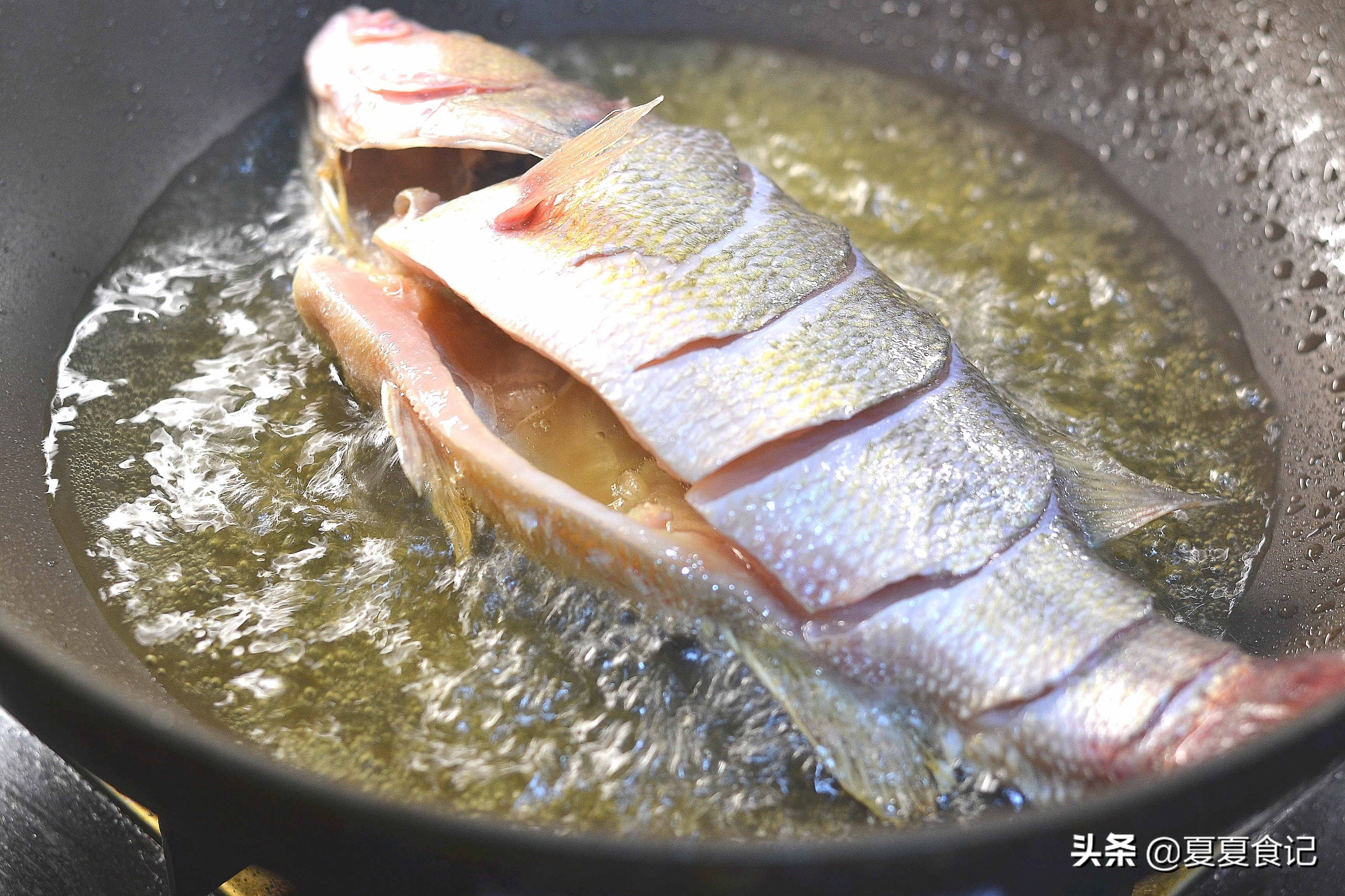 红烧鱼不煎不炸如何调配酱汁,红烧鱼教你正确做法鲜香入味