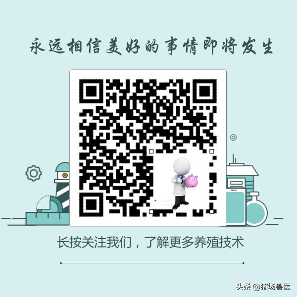 母猪产仔慢，急死人！这是难产吗？是直接掏掏掏？还要做到这七点