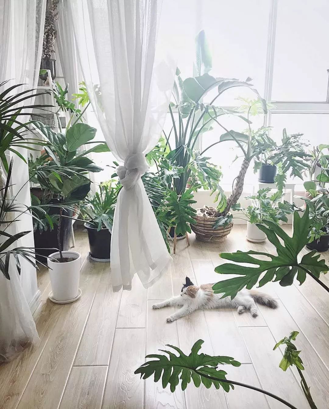 小夫妻98㎡家意外走红!登北京地铁广告,这个家才是都市里的奢侈