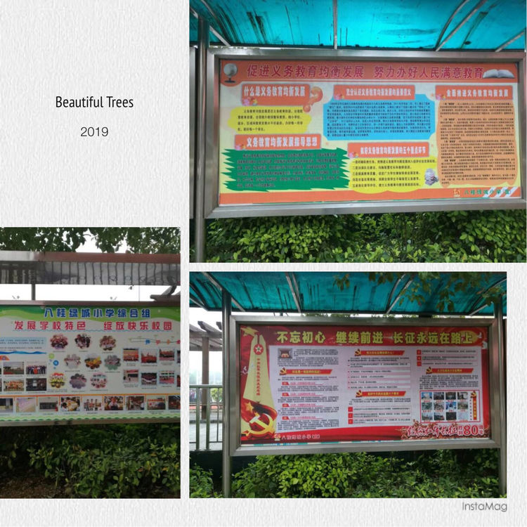 继往开来，绚丽“出彩”一一八桂绿城小学2018年工作汇报