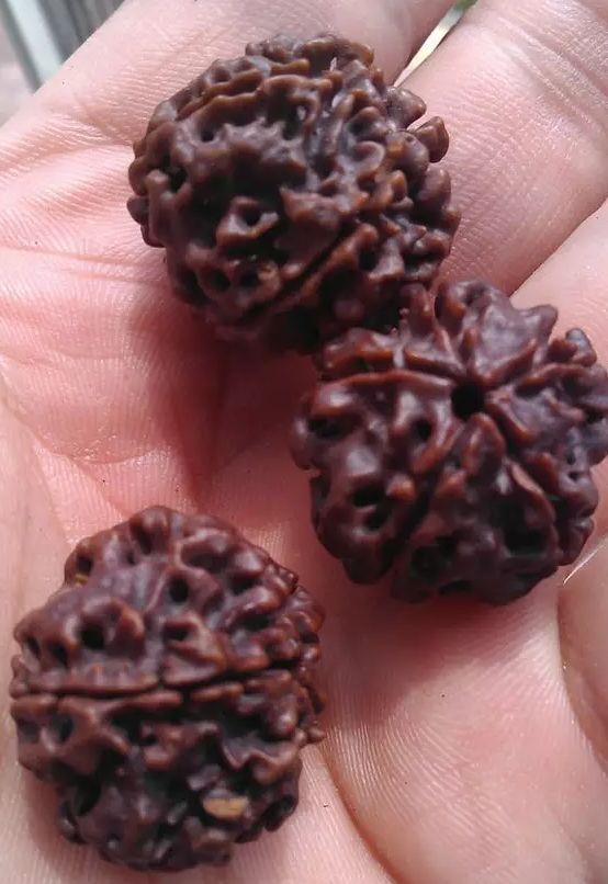 神明液体+鸡蛋+核桃油+白醋！上锅焖2个小时！让人大吃一惊