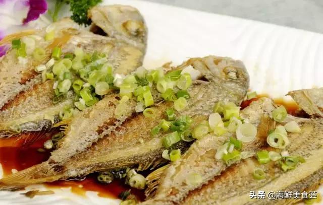 海南特色鱼都有啥鱼,海南常吃到的鱼都有哪些