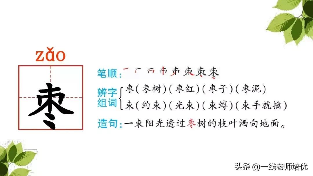 带刺的朋友三年级上册,三年级语文带刺的朋友课文知识点