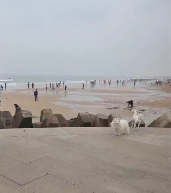 水天一色的景象,海边的日出是什么样子的