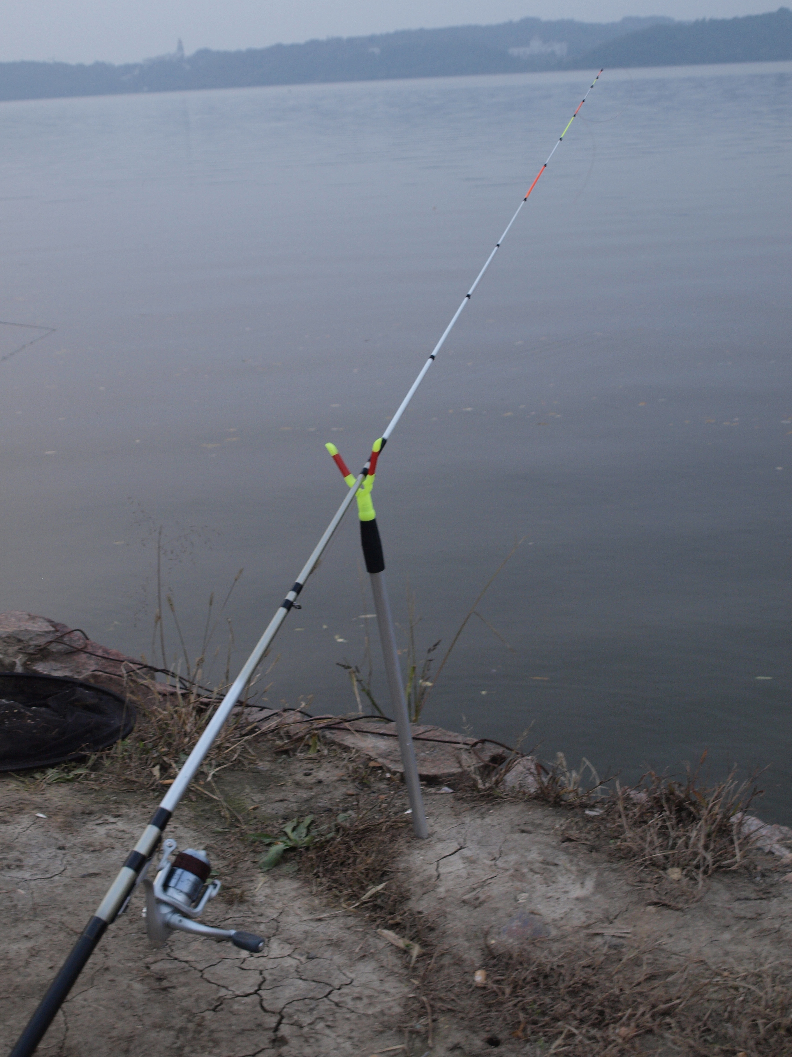 钓了这么久才钓到几条鱼,钓了几年鱼终于钓上来一条