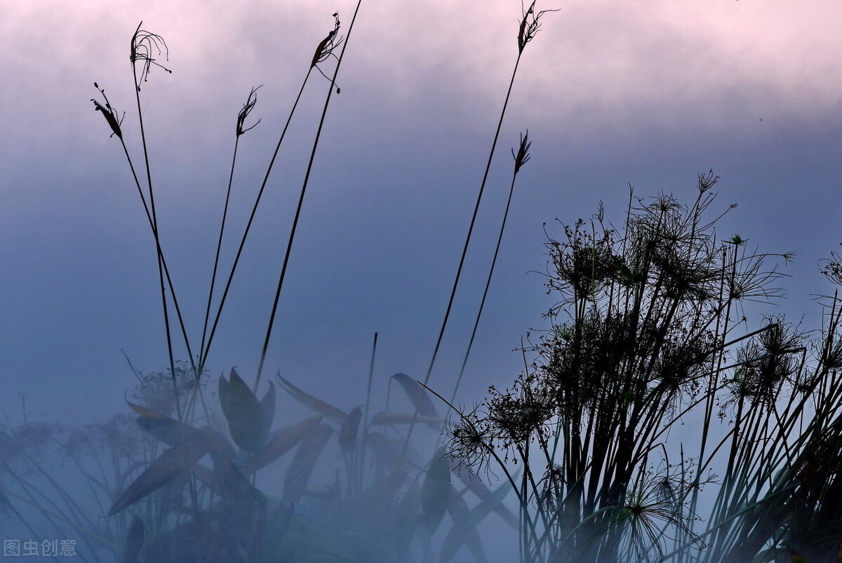 文章读不进去该怎么办？这样就可以飞速提升你的读解力
