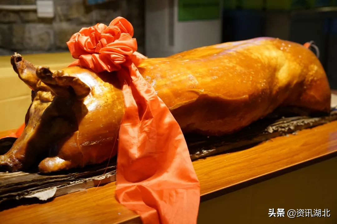 正大集团现代化养猪基地,正大集团生猪项目